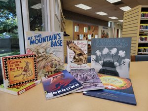Native American books displayed on table